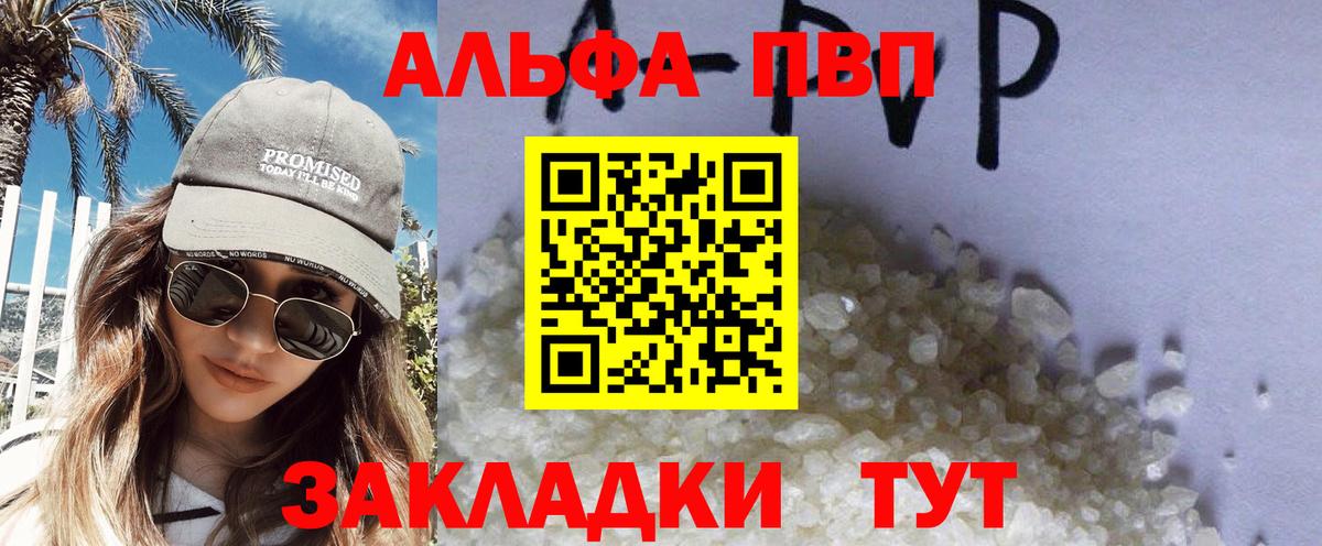 Альфа ПВП СК Балтийск