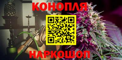 spice Коммунар