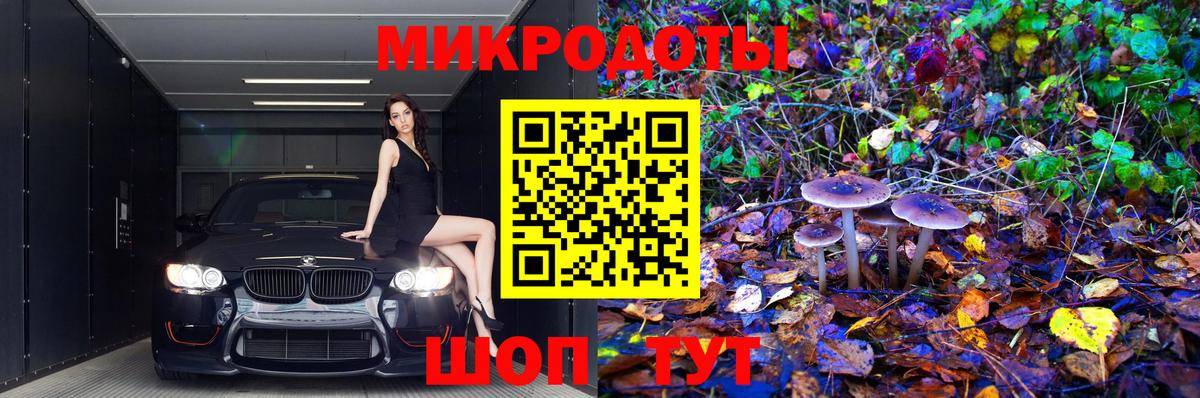 Галлюциногенные грибы Magic Shrooms Балтийск