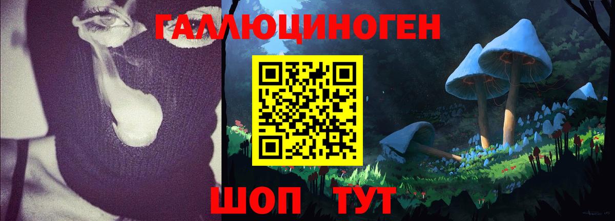 Псилоцибиновые грибы Psilocybine cubensis  Вход с VPN  Балтийск  Псилоцибиновые грибы MAGIC MUSHROOMS 